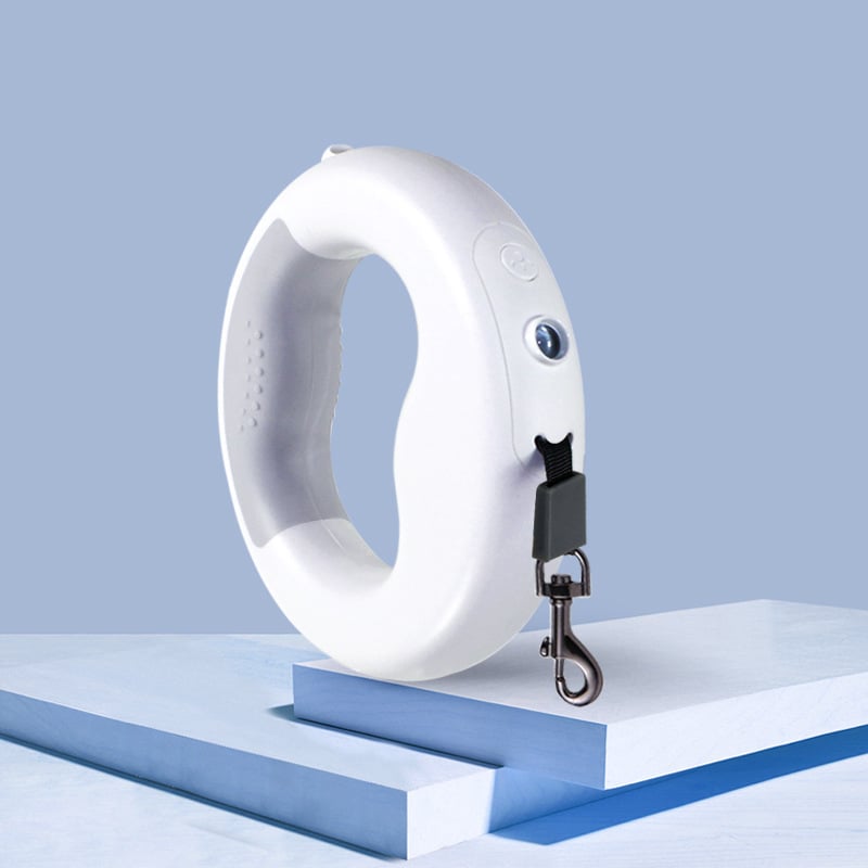 Single Retractable Cute Dog Leash for Pets